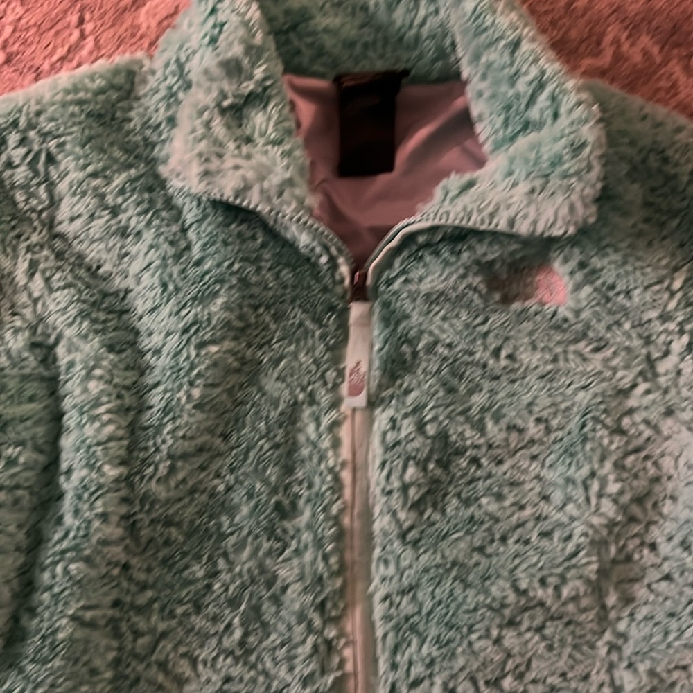 Girls North Face Teal plush coat